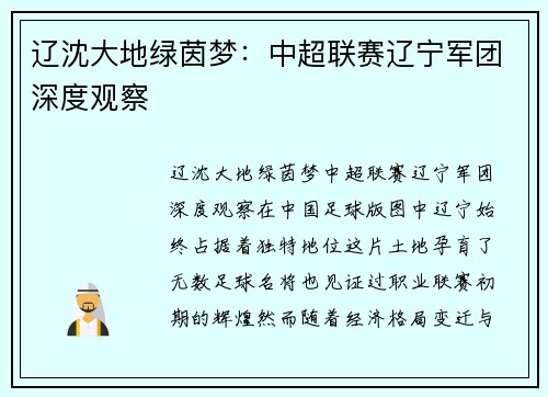 辽沈大地绿茵梦：中超联赛辽宁军团深度观察